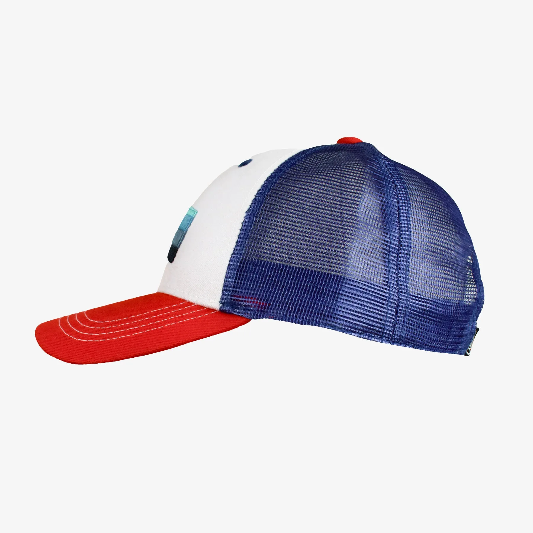 Low Pro Montana Horizons Snapback Hat